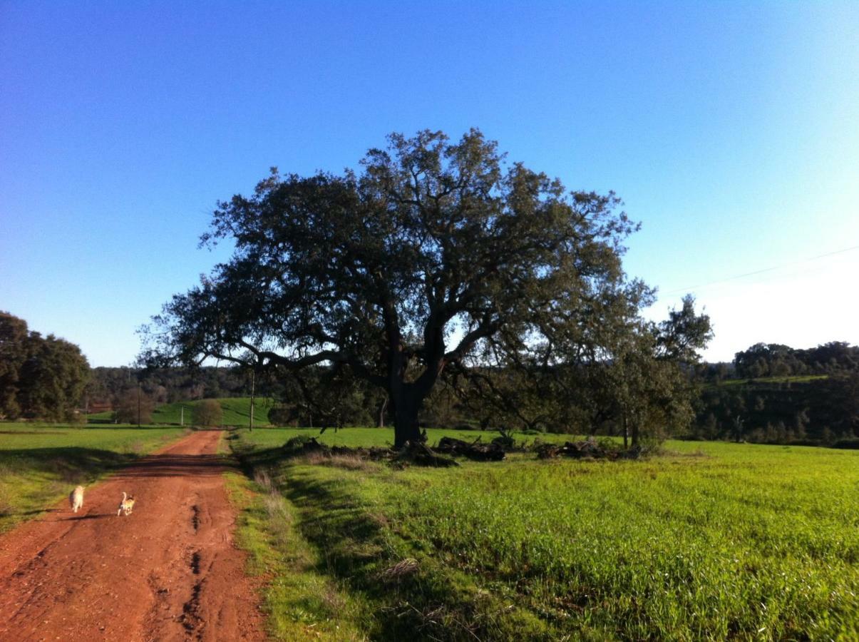 Village Loft Cercal do Alentejo Екстериор снимка